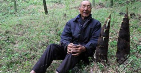 故事:恶儿媳想毒死公公却阴差阳错害死了自己的儿子